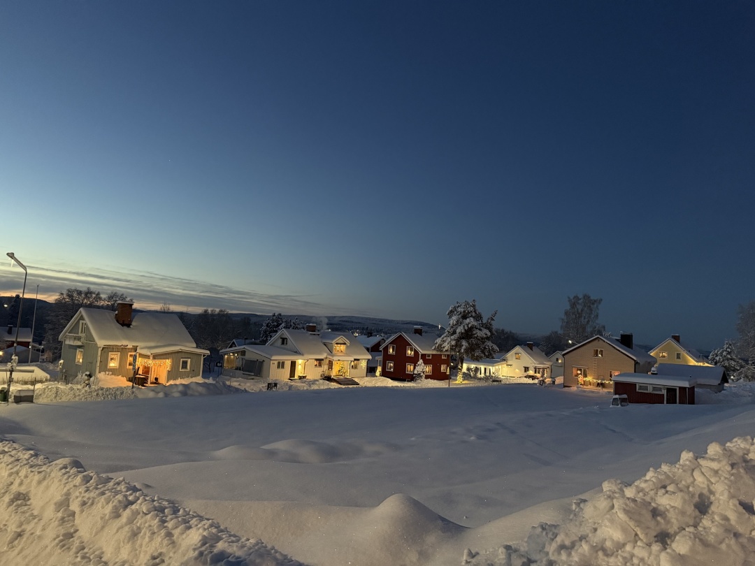 Евертурнео