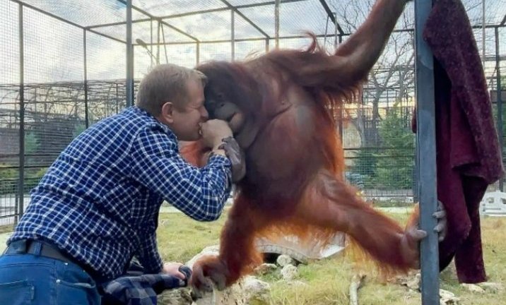 Фото: Скриншот поста зоозахисників. WELES MASTER