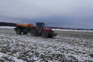 Сніжна зима на Буковині позитивно вплинула на стан озимих культур - аграрії