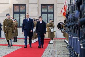 Польща і Румунія хочуть запросити до «Бухарестської дев’ятки» країни Скандинавії