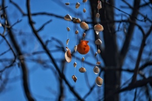 У трьох містах Прикарпаття зафіксували температурні рекорди