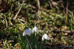 Завтра в Україні без опадів, температура місцями до +15°