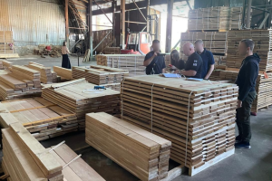 Провели понад 60 обшуків: у Києві ліквідували багаторічну схему тіньового експорту деревини