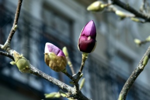 В Україні у п'ятницю до +18°, переважно без опадів