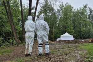 Наступного тижня Польща розпочне пошуки жертв Волинської трагедії в Углах на Рівненщині