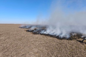 У заповіднику «Асканія-Нова» внаслідок пожежі постраждали цілинні степові біотопи