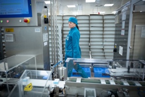 Свириденко на Одещині обговорила з виробниками підтримку промисловості та питання енергозабезпечення