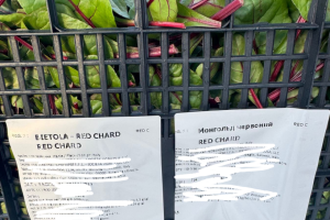 Фітосанітарні контролери на кордоні виявили небезпечного для рослин шкідника