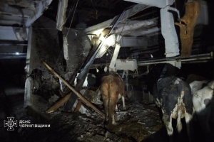 Російські дрони вночі атакували сільгосппідприємство на Чернігівщині