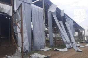 На Одещині російські війська атакували фермерське господарство