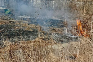 Росіяни атакували Чернігівщину 28 разів за добу, поранена жінка