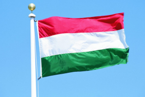 Russian propaganda spreads fake story about 'flash mob' of Ukrainians burning Hungarian flags