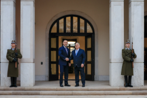 Навроцький у Будапешті зустрівся з Орбаном