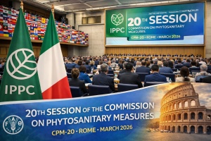 Попри війну Україна утримує агроекспорт і посилює міжнародний вплив