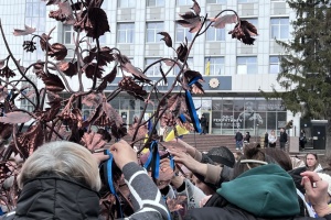 У Кропивницькому відкрили інсталяцію «Калина надії», присвячену військовополоненим і зниклим безвісти