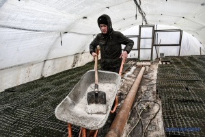 Аграрії кажуть, що Україна може втратити до $5 мільярдів експортної виручки через дорогі добрива