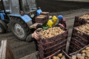 Державний аграрний реєстр поставив на паузу прийом заявок на критичність