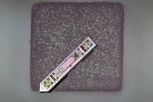 Акумулятори з бурбона, заморожена кров для нових органів та імпланти без металу і дротів