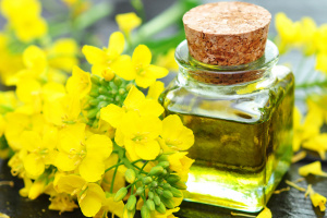 Україна планує збільшити експорт ріпакової олії