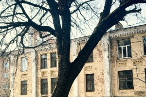 У Києві Дуб Пимоненка набув статусу пам’ятки природи місцевого значення