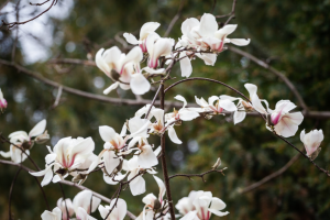 В Україні у понеділок подекуди дощитиме, вдень до +16°