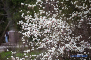 В Україні на вихідних - переважно без опадів, удень до +18°