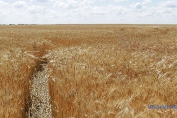 Over 356,000 hectares of agricultural land sold in Ukraine last year