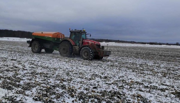 Сніжна зима на Буковині позитивно вплинула на стан озимих культур - аграрії