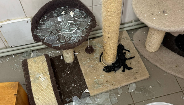 У Харкові внаслідок атаки РФ пошкоджений притулок для тварин