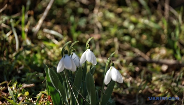 Завтра в Україні без опадів, температура місцями до +15°