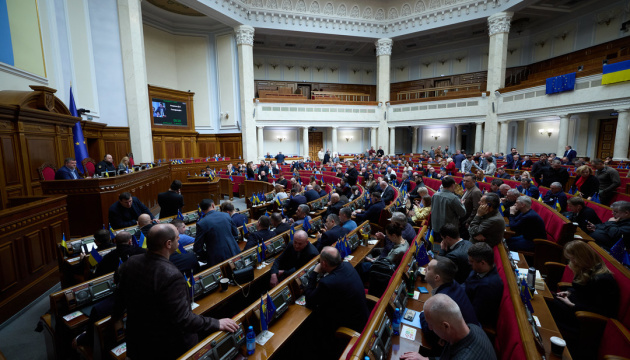 Рада не підтримала запит до Президента про позбавлення нагород і звань Бубки та Клочкової