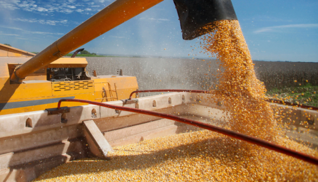 БЕБ запобігло незаконному експорту зерна через Одеський порт