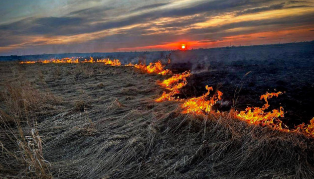 Понад 92 000 гектарів української землі вже випалені вогнем з початку року