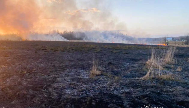 В екосистемах України з початку року сталося понад 2000 пожеж