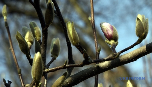 В Україні у середу від 2° морозу до 16° тепла, без опадів