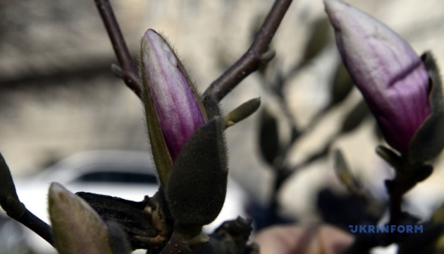 Україні у п’ятницю прогнозують до 18° тепла, дощі й грози