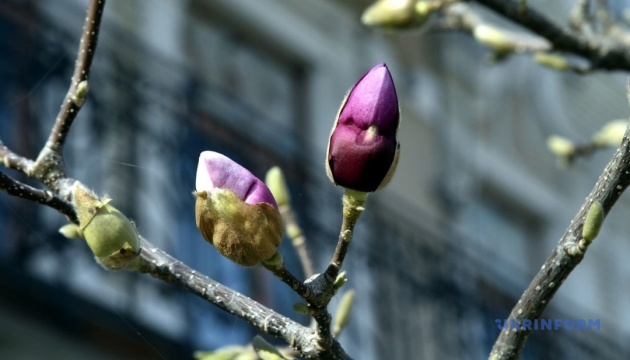 В Україні у п'ятницю до +18°, переважно без опадів