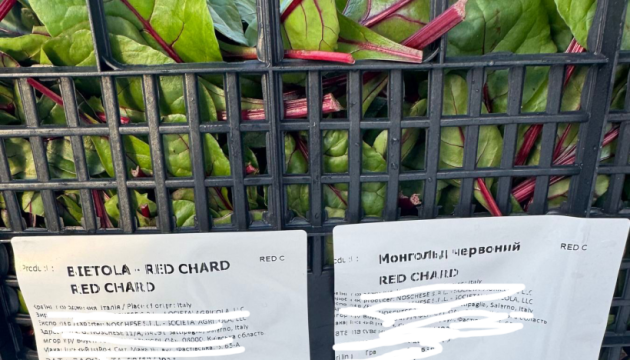 Фітосанітарні контролери на кордоні виявили небезпечного для рослин шкідника