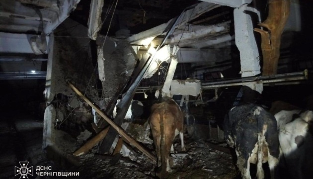 Russian drones attack agricultural enterprise in Chernihiv region overnight