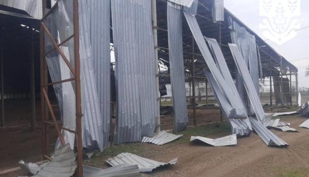 На Одещині російські війська атакували фермерське господарство