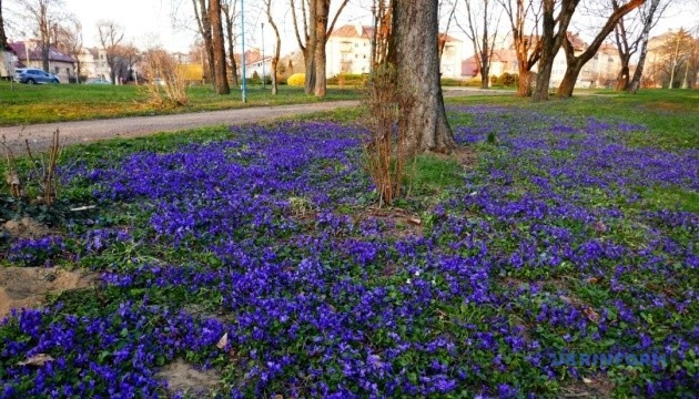 В Україні у вівторок місцями прогріє до +19°, вдень можливий невеликий дощ