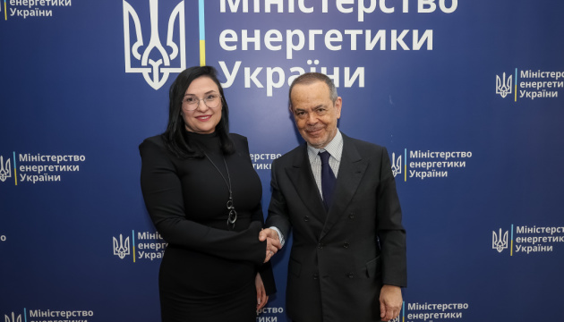 У Міненерго обговорили із спецпосланником Італії відновлення енергетики