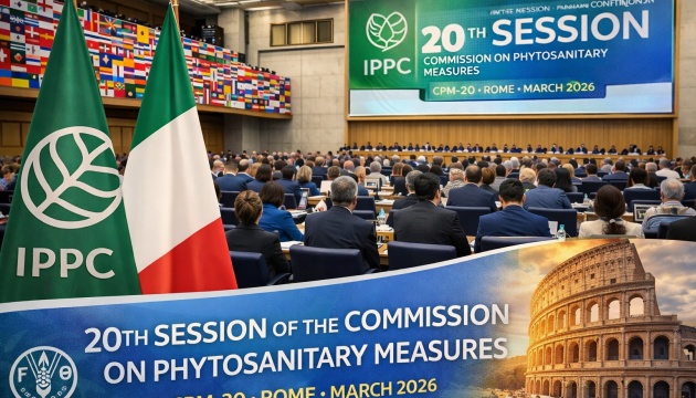 Попри війну Україна утримує агроекспорт і посилює міжнародний вплив