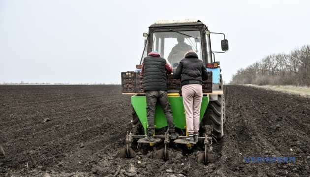 Чому запорізькі аграрії залишили в полі сотні тонн вирощених овочів?