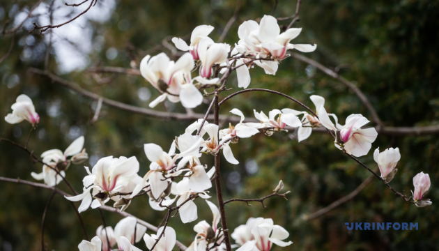 Сьогодні в Україні переважно без опадів, вдень до +16°