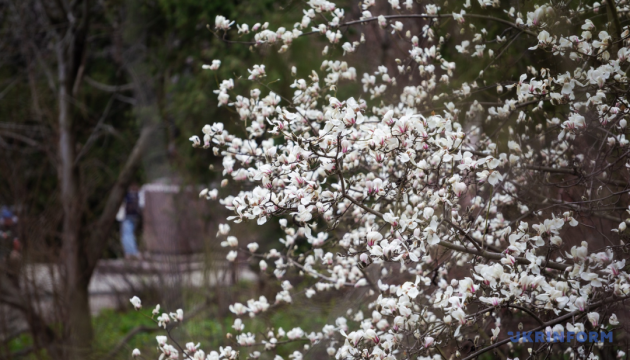 В Україні на вихідних - переважно без опадів, удень до +18°