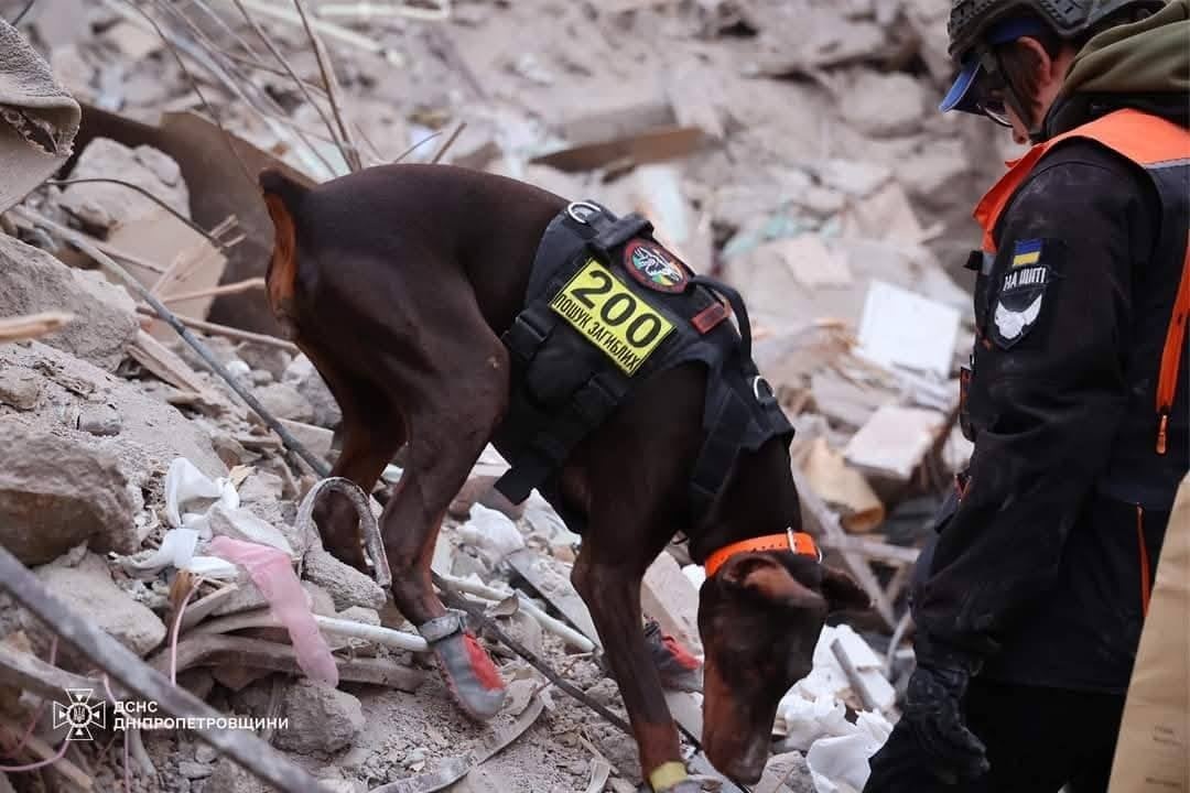 Доберман Ханна під час служби. Фото: ДСНС 