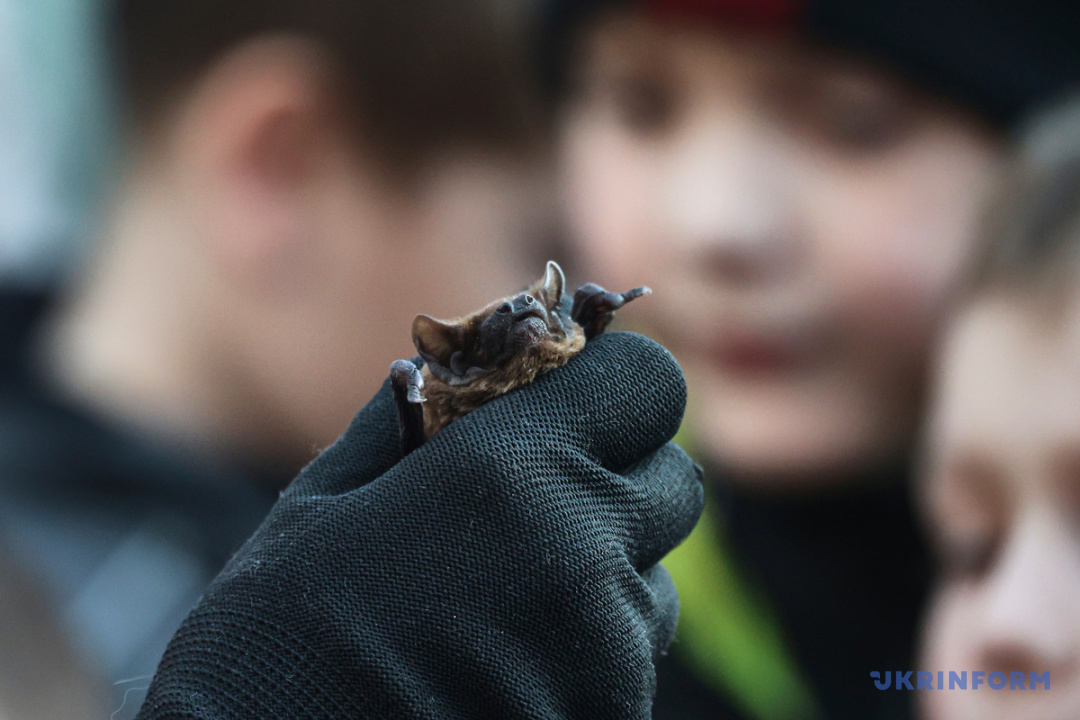 Фото: В'ячеслав Мадієвський