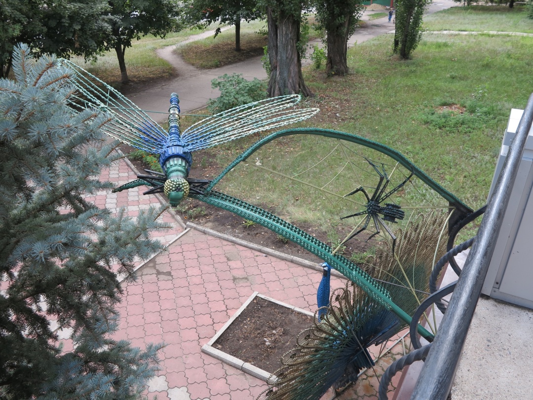 Павук і бабка. 2016