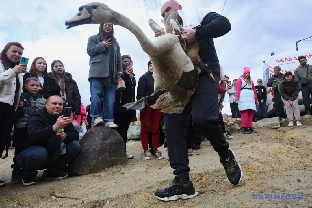 Фото: В’ячеслав Мадієвський
